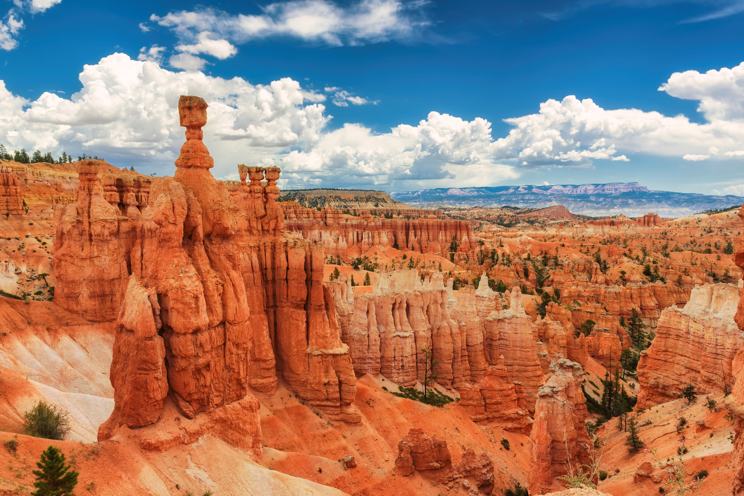 bryce canyon national park, utah.webp